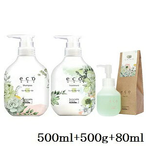 pCA GRGC`r[GX Vv[ t[eB[t[ 500ml + g[gg 500g + wAIC 80ml