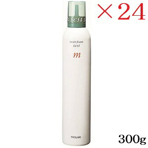 sAZ{ ZV[ CXgtH[ 300g ×24Zbg