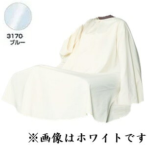 RE eK[hhX No.3170 u[