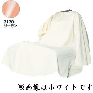 RE eK[hhX No.3170 T[