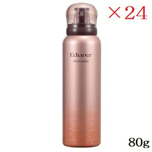 sAZ{ Gf[ XB[g}[ ×24Zbg