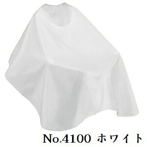 GNZ X^_[hNX No.4100 zCg