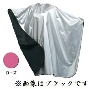 GNZ o[VuNX No.5555 [Y