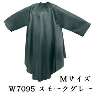 GNZ W7095 ChwA_ChX MTCY X[NO[