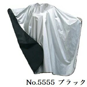 GNZ o[VuNX No.5555 ubN