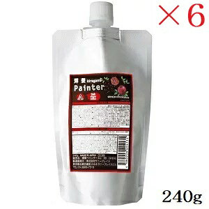 Tj[vCX P yC^[A 240g ubN&ubN ×6Zbg