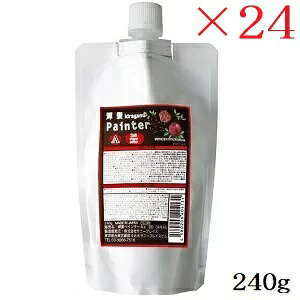 Tj[vCX P yC^[A 240g ubN&ubN ×24Zbg