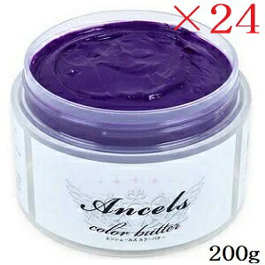 GVF[Y J[g[ggo^[ 200g u[oCIbg ×24Zbg