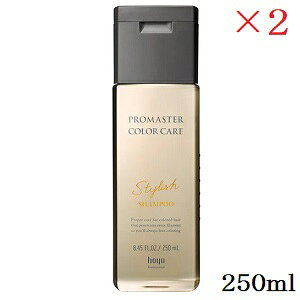 z[[ v}X^[ J[PA X^CbVVv[ 250ml ×2Zbg