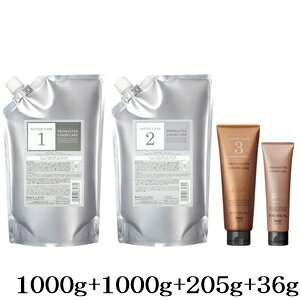 ホーユー プロマスター カラーケア システムトリートメント バッファーケア 1000g + インサイドケア 1000g + リッチ 205g + ラスティングアフター 36g