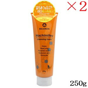 WUAO EAI NWA݂͂tH[ 250g ×2Zbg