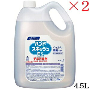 ԉ nhXLbVEX 4.5L{g Ɩp ×2Zbg (򕔊Oi)