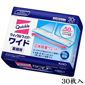 ԉ NCbNCp[ Ch ̋zEGbgV[g Ɩp 30