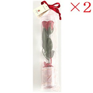 uXgt[ t[\[v eB[Y RD ×2Zbg