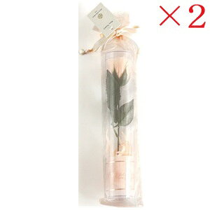 uXgt[ t[\[v ~L[[Y WH ×2Zbg