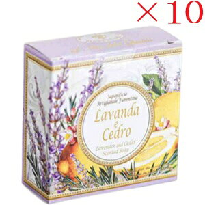 tBIeB[m x_[ &`Fh\[v 1 ×10Zbg