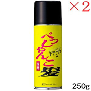 WUAO EAI Eg}WbN NEW \tgtBNT[ U 250g ×2Zbg