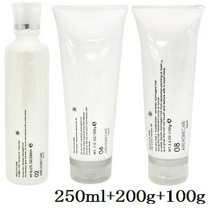 R^ Af[ AC 02 Vv[ ANA 250ml + 06 g[gg CX`[ 200g + 08 tH[J[ 100g