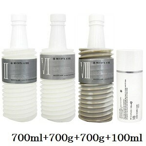 R^ Af[ AC 02 ANA 700ml + 06 CX`[ 700g + 08 tH[J[ 700g + 10 Xg[g 100ml