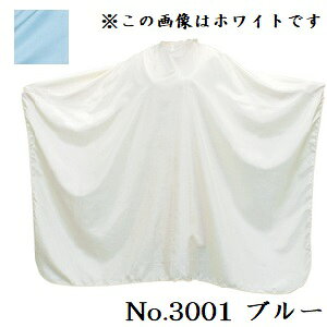 GNZ pXeJ[ JbeBONX [q] No.3001 u[