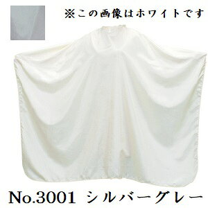 GNZ pXeJ[ JbeBONX [q] No.3001 Vo[O[