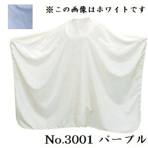 GNZ pXeJ[ JbeBONX [q] No.3001 p[v