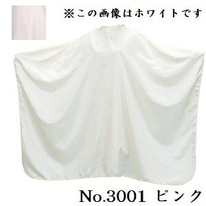 GNZ pXeJ[ JbeBONX [q] No.3001 sN