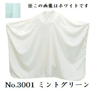 GNZ pXeJ[ JbeBONX [q] No.3001 ~gO[