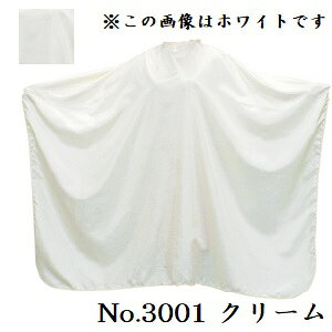 GNZ pXeJ[ JbeBONX [q] No.3001 N[