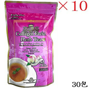 GXev{ R[Q tFCV n[ueB[ v 30 ×10Zbg