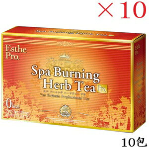 GXev{ Xp o[jO n[ueB[ v 10 ×10Zbg