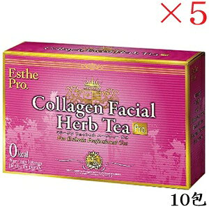 GXev{ R[Q tFCV n[ueB[ v 10 ×5Zbg