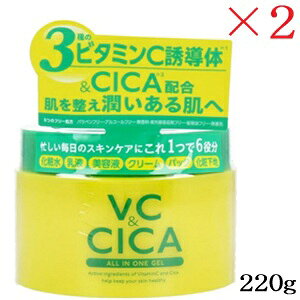 VC  CICA I[CQ 220g ×2Zbg