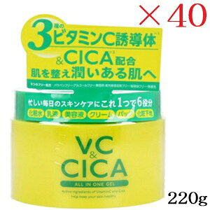 VC  CICA I[CQ 220g ×40Zbg
