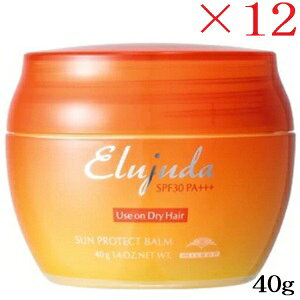 ~{ GW[_ TveNgo[ 40g ×12Zbg