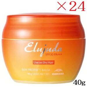 ~{ GW[_ TveNgo[ 40g ×24Zbg