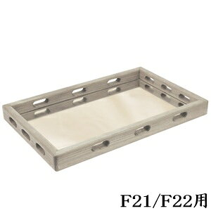 YSp[N ~[WAt[~[ F21/F22p zCgO[