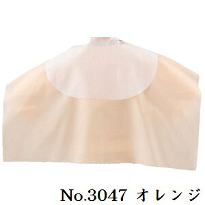 Cz[ No.3047 obNVv[NX NA IW