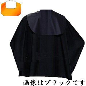 JgA No.1155 N[Vv[NX IW