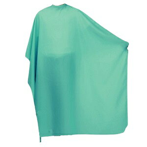 JgA No. 4024\u[탍Oz V[O[ Ђ