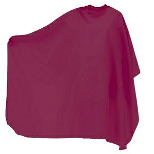 JgA No. 6020 CgtFU[z }WbNe[v C