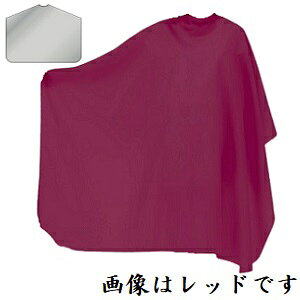 JgA No. 6020 CgtFU[z Ђ O[