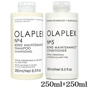 �I���v���b�N�X No.4 250ml + No.5 250ml