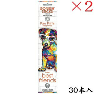 �K�[�l�b�V�� GONESH incense 30 sticks �x�X�g�t�����Y Jasper ×2�Z�b�g