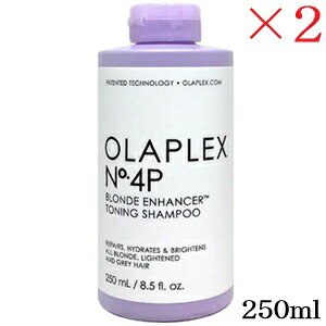 �I���v���b�N�X No.4P �g�[�j���O�V�����v�[ 250ml ×2�Z�b�g