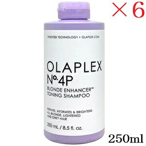 �I���v���b�N�X No.4P �g�[�j���O�V�����v�[ 250ml ×6�Z�b�g