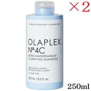 �I���v���b�N�X No.4C �{���h�����e�i���X �N�����t�@�C���O�V�����v�[ 250ml ×2�Z�b�g