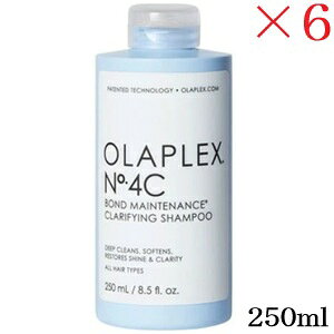 �I���v���b�N�X No.4C �{���h�����e�i���X �N�����t�@�C���O�V�����v�[ 250ml ×6�Z�b�g