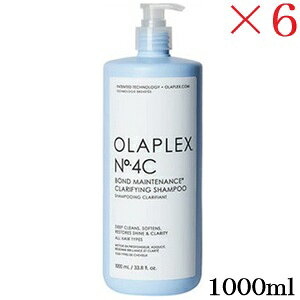 �I���v���b�N�X No.4C �{���h�����e�i���X �N�����t�@�C���O�V�����v�[ 1000ml ×6�Z�b�g