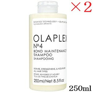 �I���v���b�N�X No.4 �{���h�����e�i���X �V�����v�[ 250ml ×2�Z�b�g
